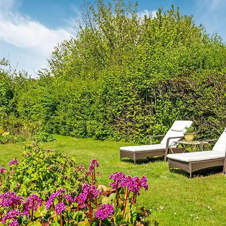 Pet Friendly In With Wifi Holiday home Tisvildeleje